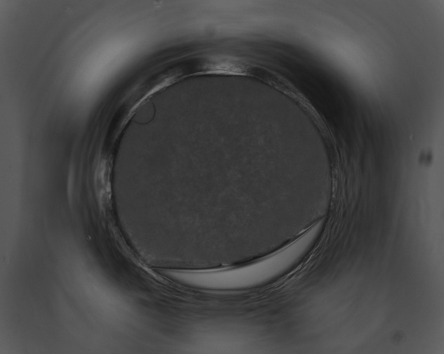 X0000091671487200708301449