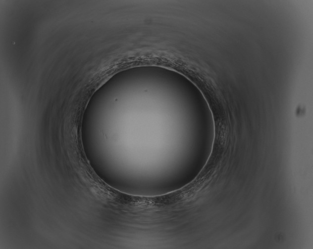 X0000091671489200708301448
