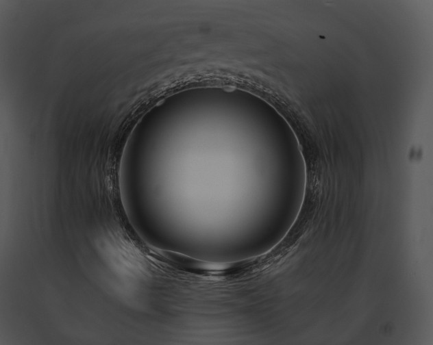 X0000091671490200708301448
