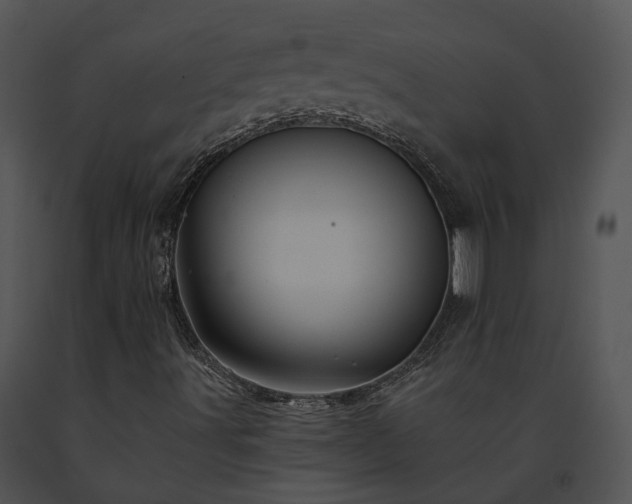 X0000091671491200708301448