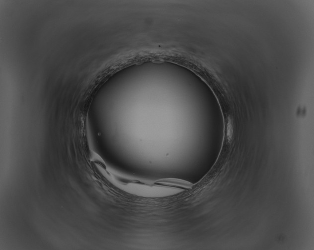 X0000091671492200708301448