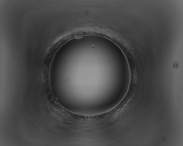 X0000091671494200708301448