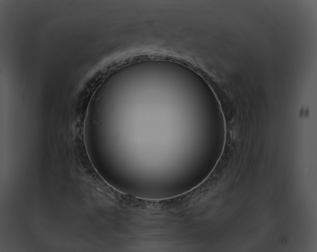 X0000091671495200708301448