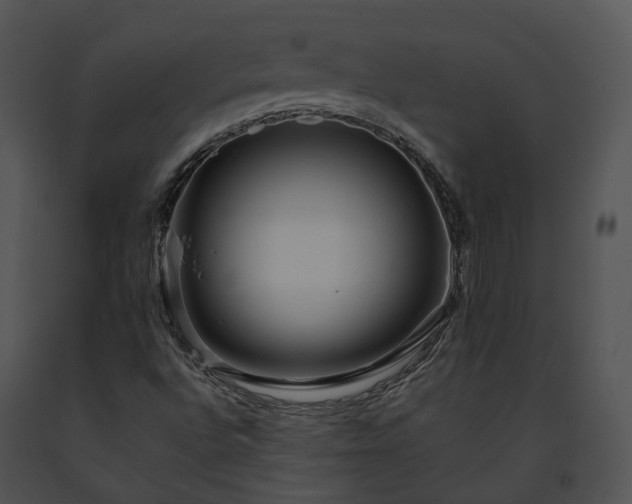 X0000091671496200708301448