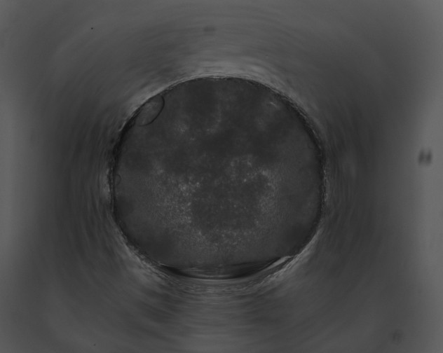 X0000091671497200708301448