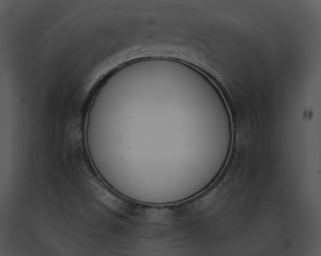 X0000091671498200708301448
