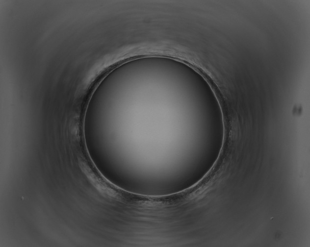 X0000091671499200708301448