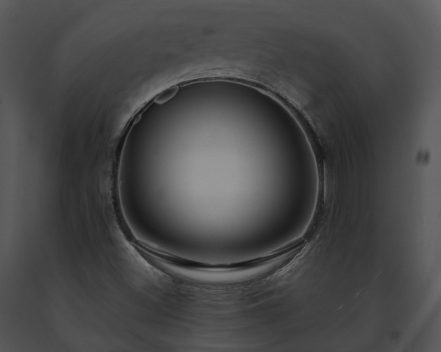 X0000091671500200708301448