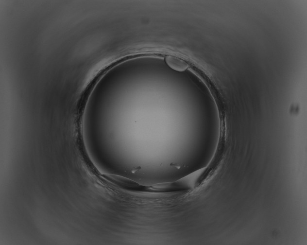 X0000091671501200708301448