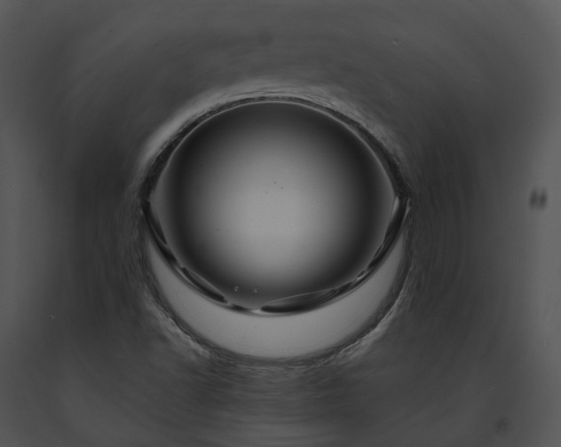 X0000091671502200708301448