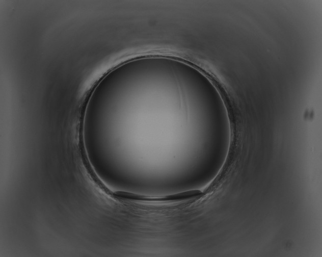 X0000091671504200708301448