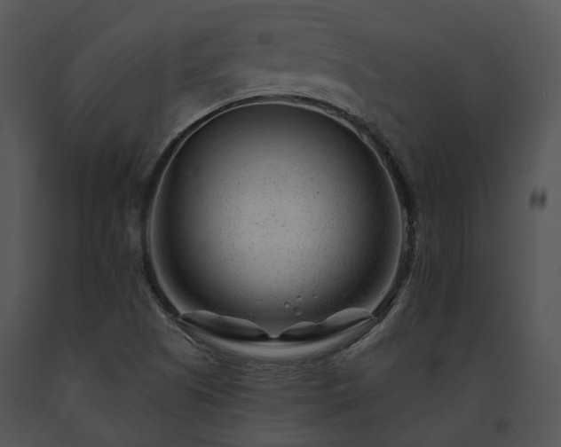 X0000091671505200708301448
