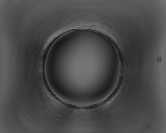 X0000091671506200708301448