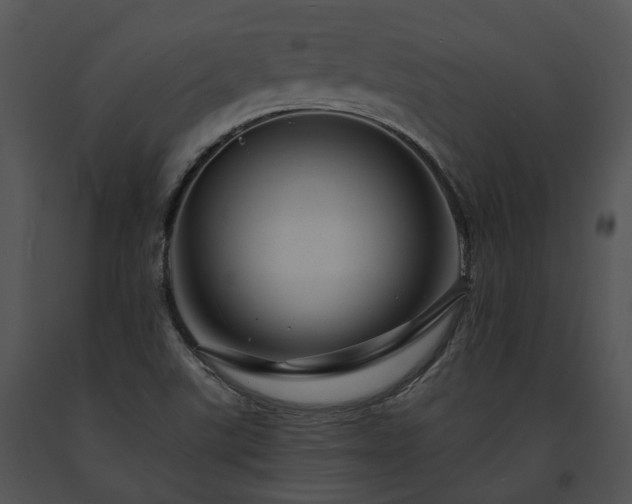 X0000091671507200708301448