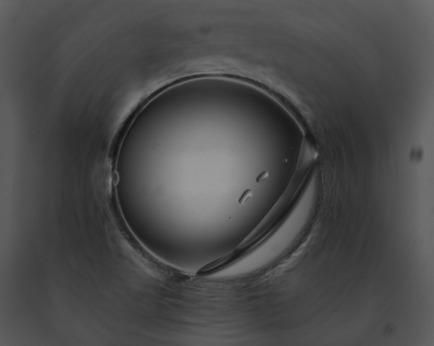 X0000091671509200708301448