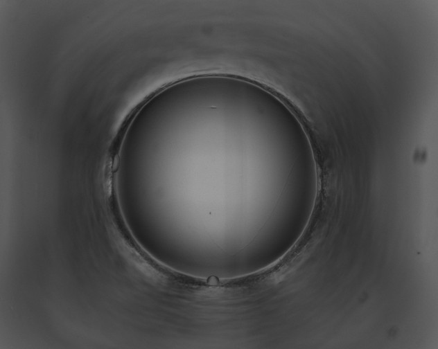 X0000091671510200708301448