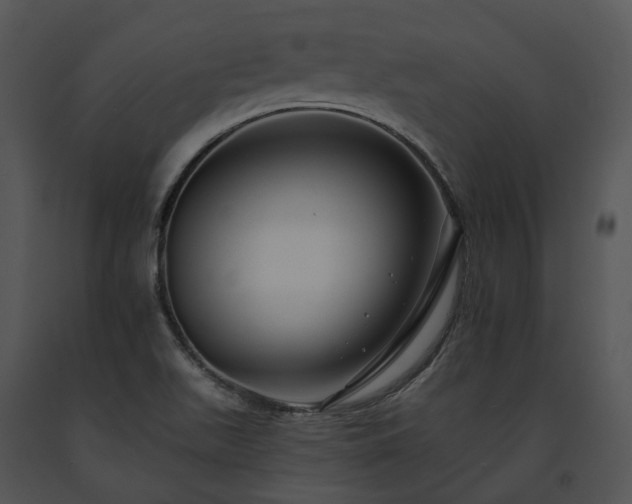 X0000091671511200708301448