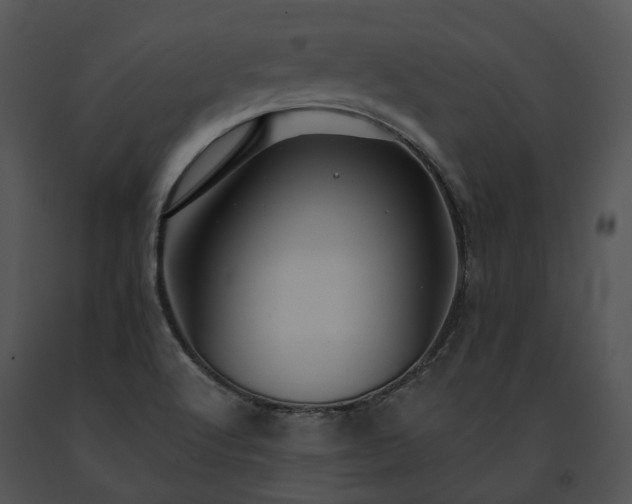 X0000091671512200708301448