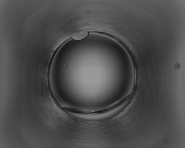 X0000091671513200708301448