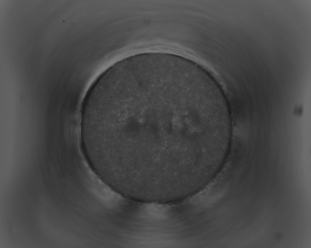 X0000091671514200708301448
