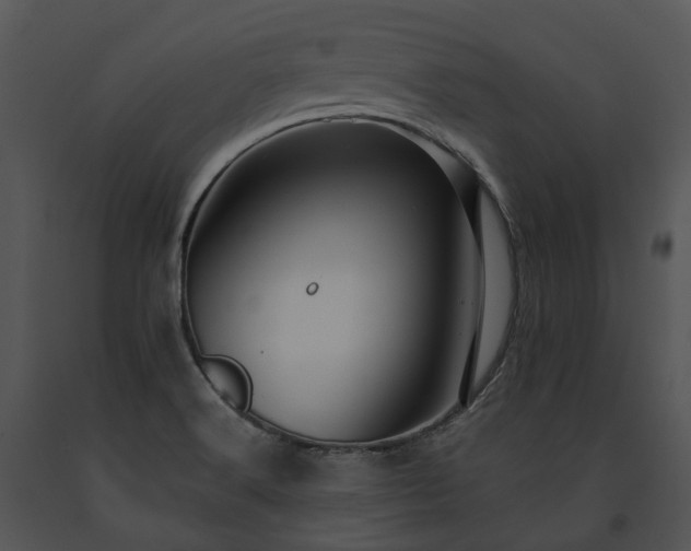 X0000091671516200708301448