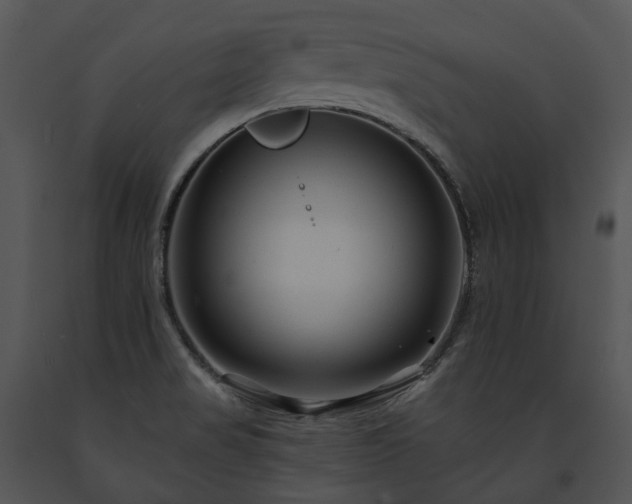 X0000091671517200708301448