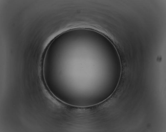 X0000091671518200708301448