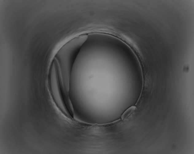 X0000091671520200708301449