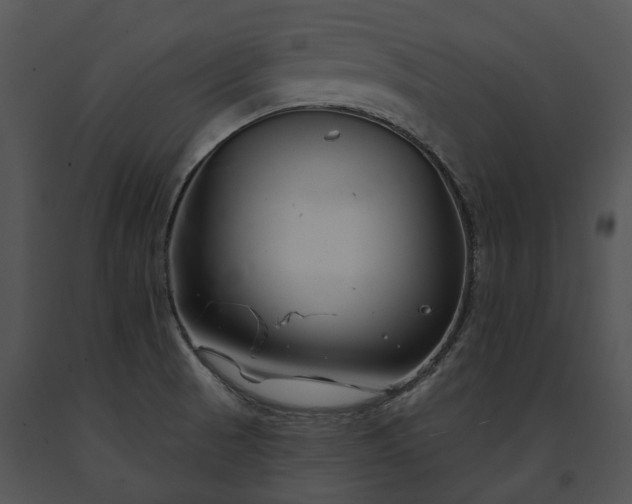 X0000091671521200708301449