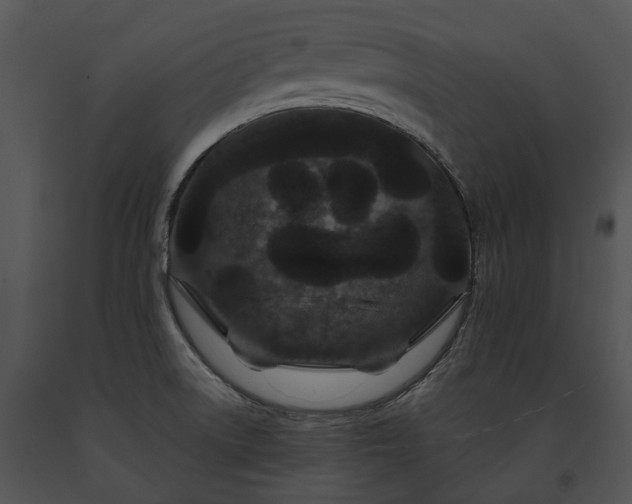 X0000091671522200708301449