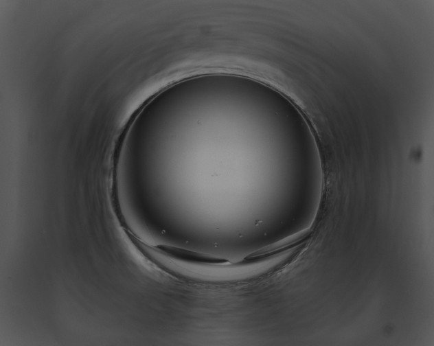 X0000091671523200708301449