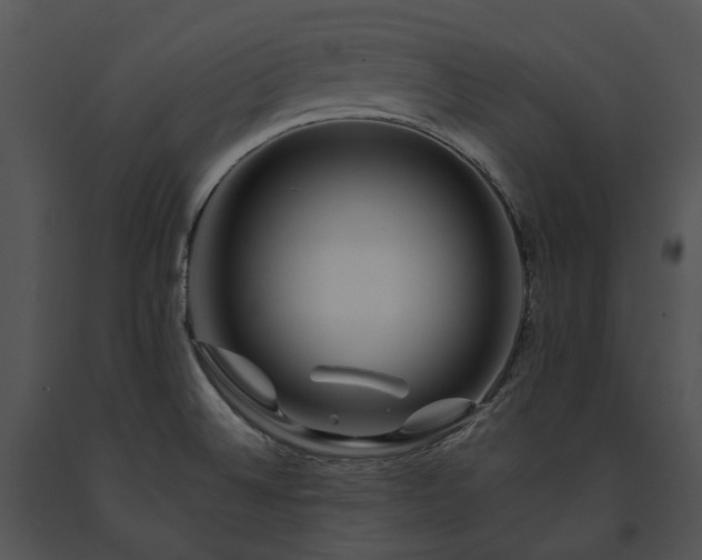 X0000091671524200708301449