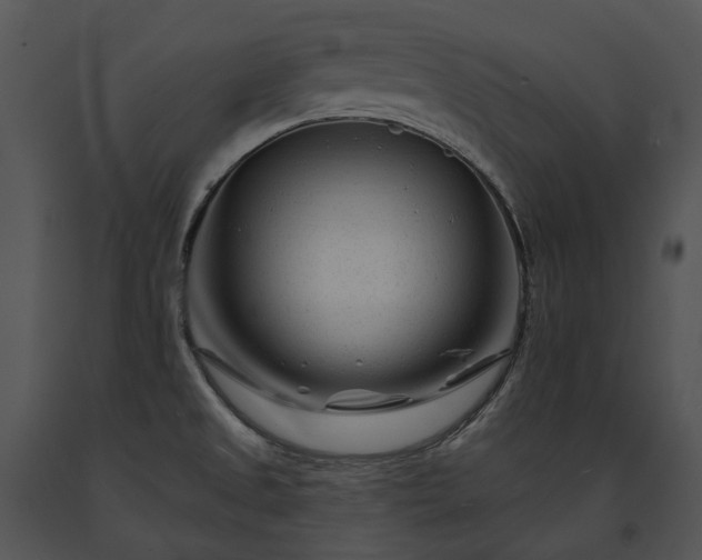 X0000091671525200708301449