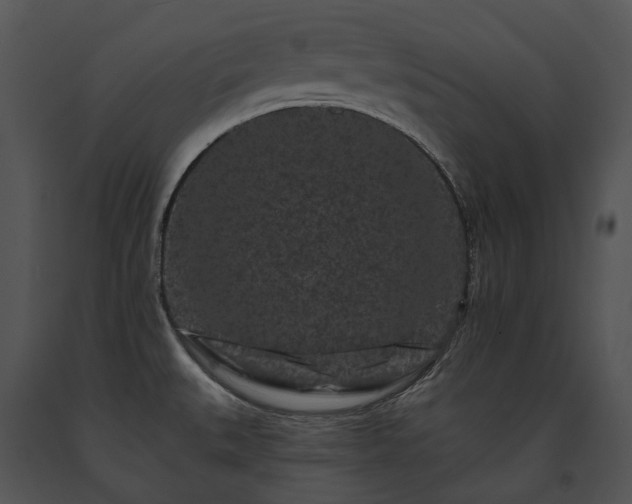 X0000091671527200708301449