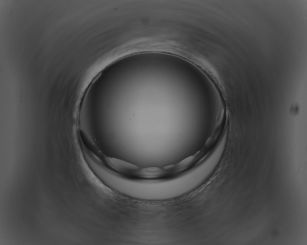 X0000091671528200708301449