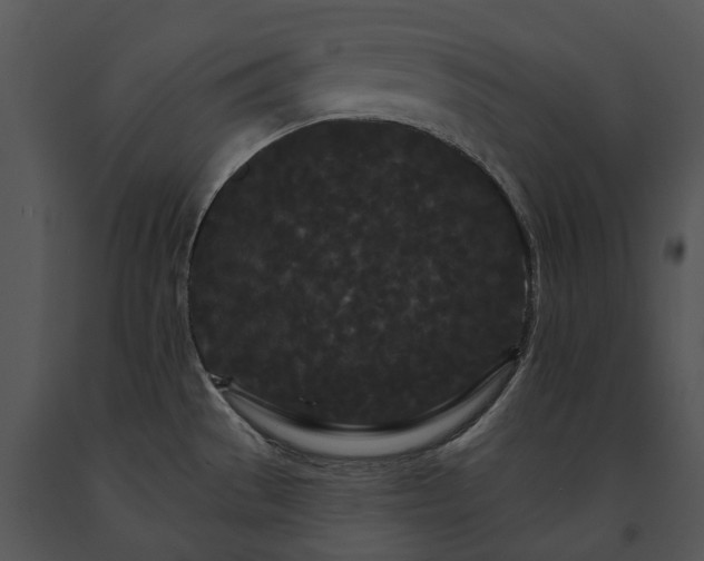 X0000091671529200708301449