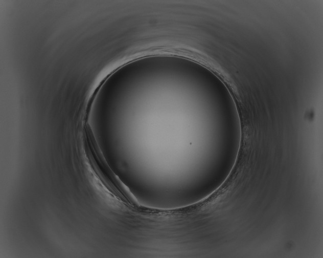 X0000091671530200708301449