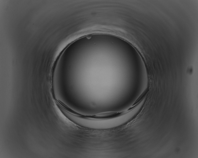 X0000091671531200708301449
