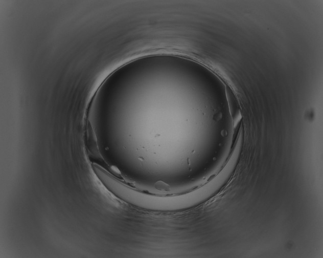 X0000091671532200708301449