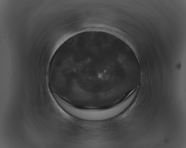 X0000091671533200708301449