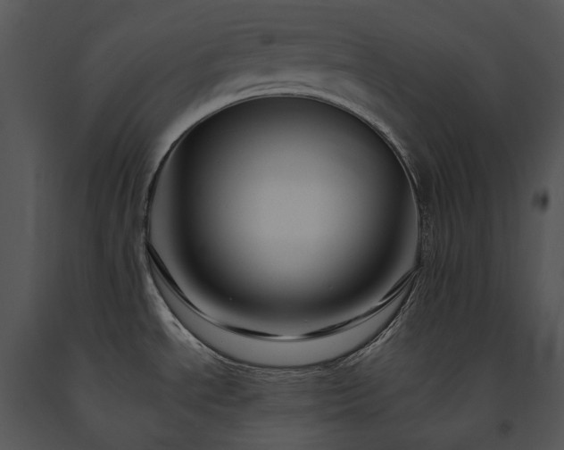 X0000091671534200708301449