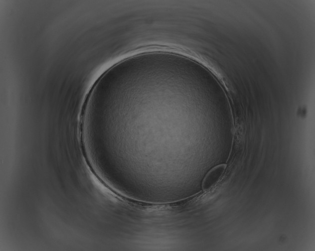 X0000091671535200708301449