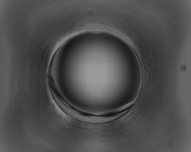 X0000091671536200708301449