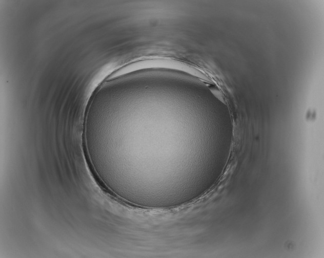 X0000091670003200709061052
