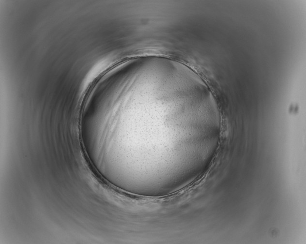 X0000091670004200709061052