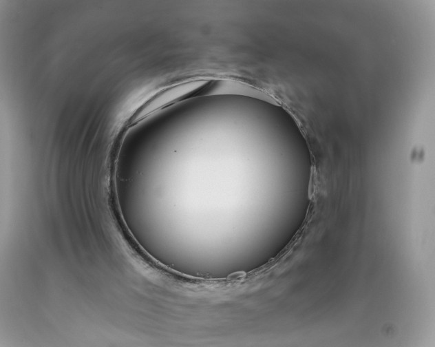 X0000091670005200709061052