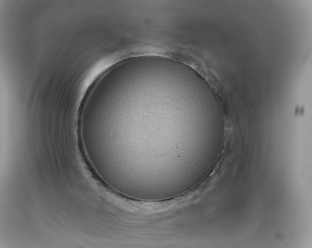 X0000091670006200709061052
