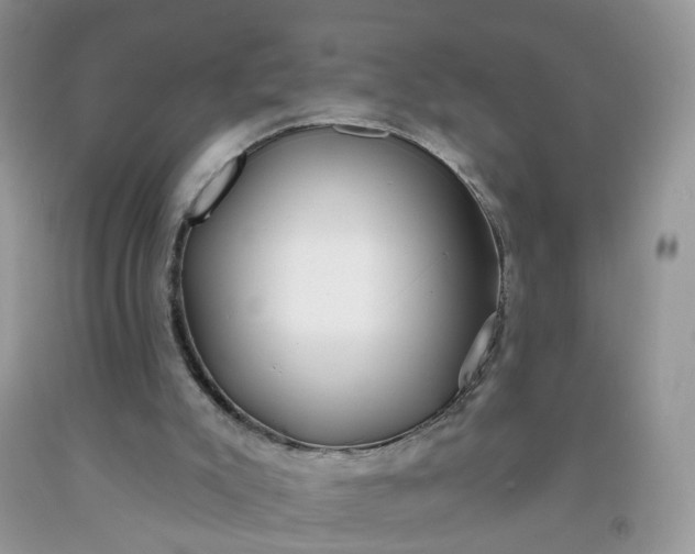 X0000091670007200709061052