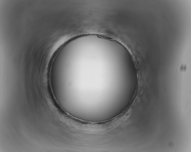 X0000091670008200709061052