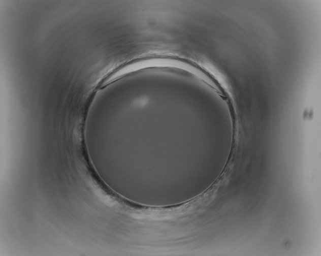 X0000091670009200709061052